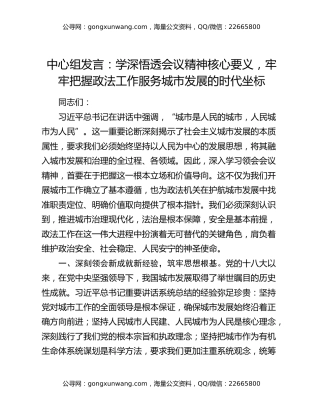 中心组发言：学深悟透会议精神核心要义，牢牢把握政法工作服务城市发展的时代坐标