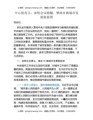 中心组发言：深悟会议精髓，擘画乡镇城市发展新蓝图