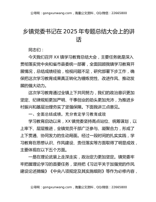 乡镇党委书记在2025年专题总结大会上的讲话