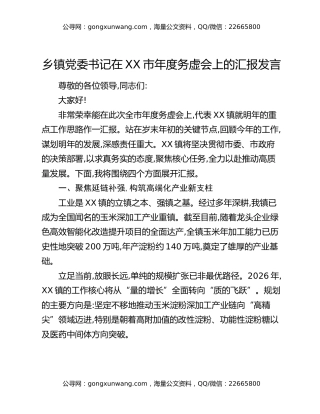 乡镇党委书记在XX市年度务虚会上的汇报发言