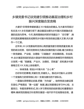 乡镇党委书记谈党建引领推动基层治理和乡村振兴深度融合发言稿