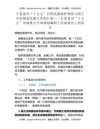 于某某市“十五五”自然资源保护利用与国土空间规划实施工作的汇报 ——在某某市“十五五”市级重点专项规划编制工作座谈会上的发言
