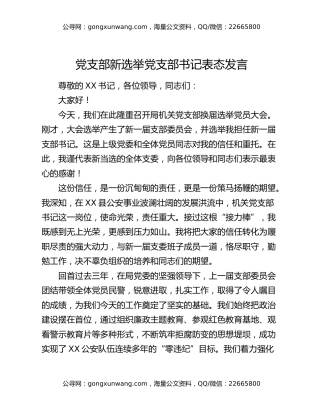 党支部新选举党支部书记表态发言