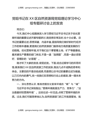 党组书记在XX区自然资源局党组理论学习中心组专题研讨会上的发言