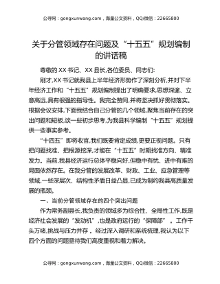 关于分管领域存在问题及“十五五”规划编制的讲话稿