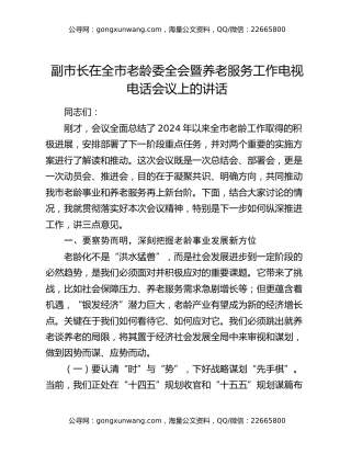 副市长在全市老龄委全会暨养老服务工作电视电话会议上的讲话