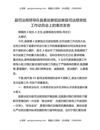 县司法局领导在县委巡察组巡察县司法局党组工作动员会上的表态发言