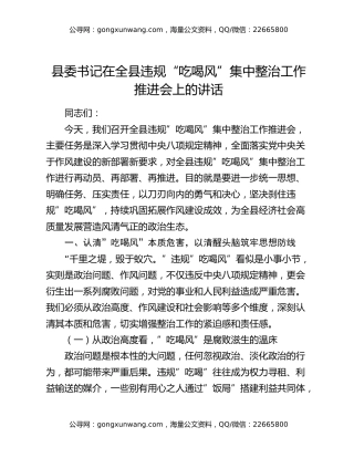 县委书记在全县违规“吃喝风”集中整治工作推进会上的讲话