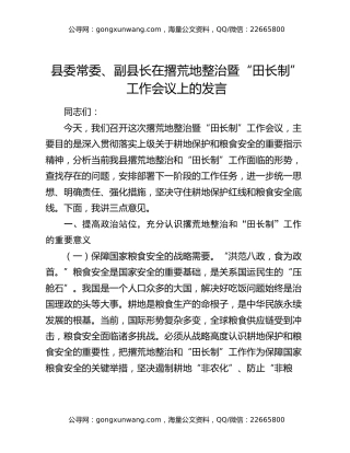 县委常委、副县长在撂荒地整治暨“田长制”工作会议上的发言
