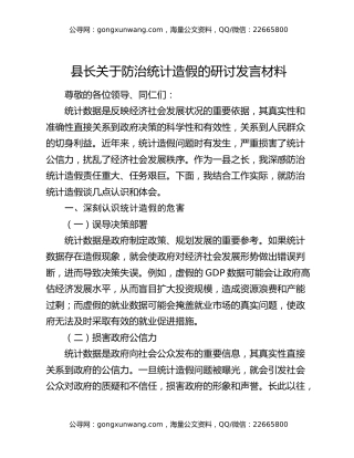 县长关于防治统计造假的研讨发言材料