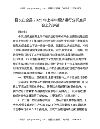 县长在全县2025年上半年经济运行分析点评会上的讲话
