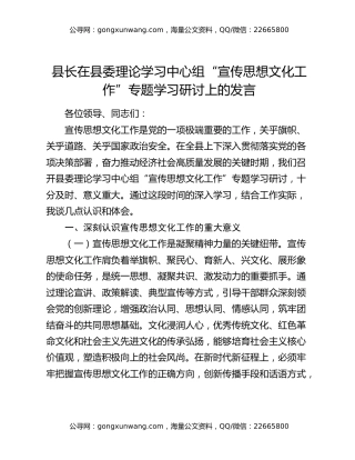 县长在县委理论学习中心组“宣传思想文化工作”专题学习研讨上的发言（2）