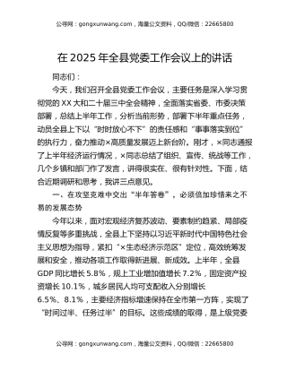在2025年全县党委工作会议上的讲话