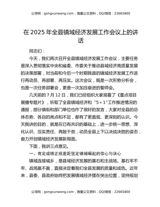 在2025年全县镇域经济发展工作会议上的讲话