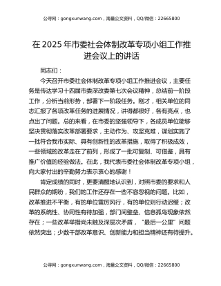 在2025年市委社会体制改革专项小组工作推进会议上的讲话