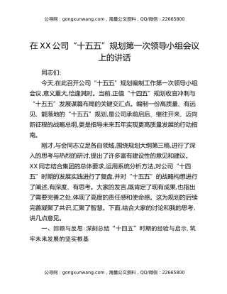 在XX公司“十五五”规划第一次领导小组会议上的讲话