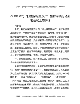 在XX公司“打击保险黑灰产”集群专项行动部署会议上的讲话