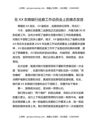 在XX农商银行巡察工作动员会上的表态发言
