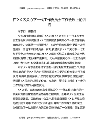 在XX区关心下一代工作委员会工作会议上的讲话