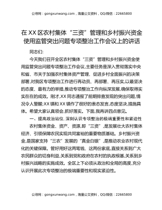 在XX区农村集体“三资”管理和乡村振兴资金使用监管突出问题专项整治工作会议上的讲话