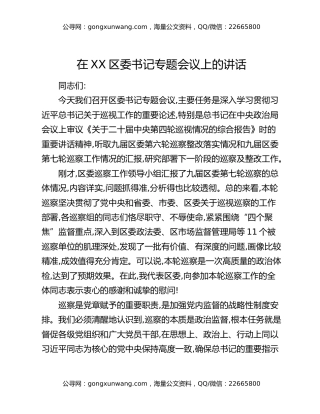 在XX区委书记专题会议上的讲话