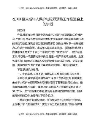 在XX区未成年人保护与犯罪预防工作推进会上的讲话