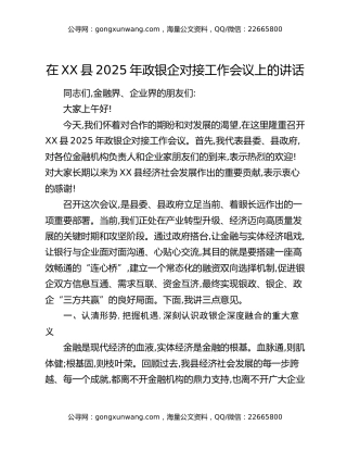 在XX县2025年政银企对接工作会议上的讲话