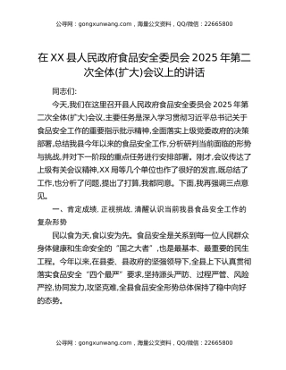 在XX县人民政府食品安全委员会2025年第二次全体(扩大)会议上的讲话