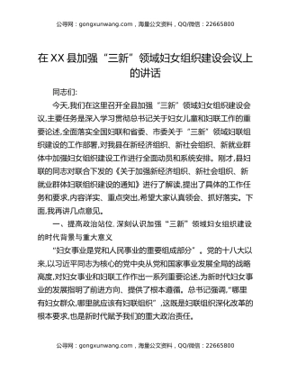 在XX县加强“三新”领域妇女组织建设会议上的讲话