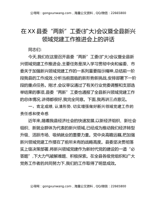 在XX县委“两新”工委（扩大）会议暨全县新兴领域党建工作推进会上的讲话