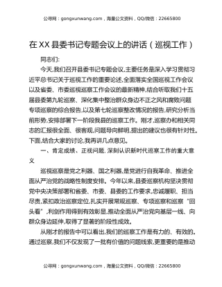 在XX县委书记专题会议上的讲话（巡视工作）