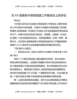 在XX县委新兴领域党建工作推进会上的讲话