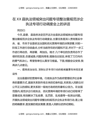 在XX县执法领域突出问题专项整治暨规范涉企执法专项行动调度会上的讲话
