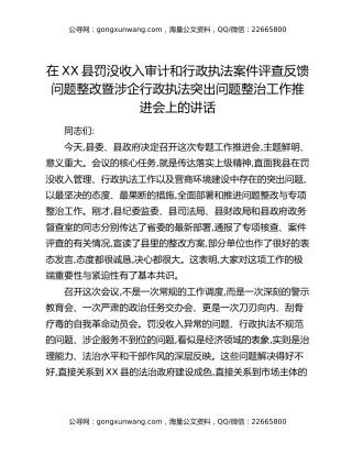 在XX县罚没收入审计和行政执法案件评查反馈问题整改暨涉企行政执法突出问题整治工作推进会上的讲话