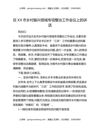 在XX市乡村振兴领域专项整治工作会议上的讲话