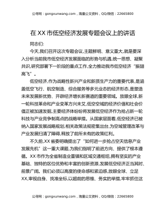 在XX市低空经济发展专题会议上的讲话