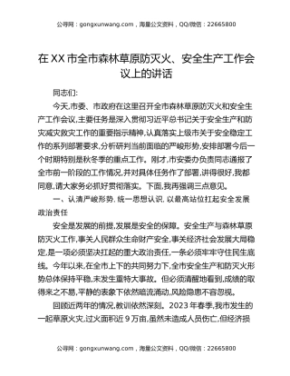 在XX市全市森林草原防灭火、安全生产工作会议上的讲话