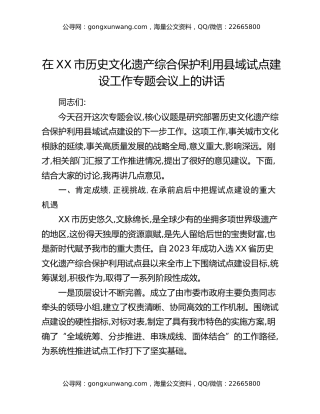 在XX市历史文化遗产综合保护利用县域试点建设工作专题会议上的讲话