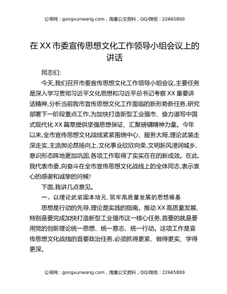 在XX市委宣传思想文化工作领导小组会议上的讲话