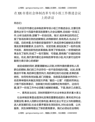 在XX市委社会体制改革专项小组工作推进会议上的讲话