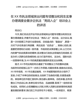 在XX市执法领域突出问题专项整治和民生实事办理调度会暨涉企执法“亮码入企”培训会上的讲话