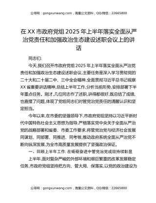 在XX市政府党组2025年上半年落实全面从严治党责任和加强政治生态建设述职会议上的讲话