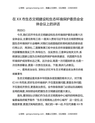 在XX市生态文明建设和生态环境保护委员会全体会议上的讲话