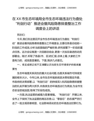 在XX市生态环境局全市生态环境违法行为查处“利剑行动”推进会暨风险隐患排查整治工作调度会上的讲话