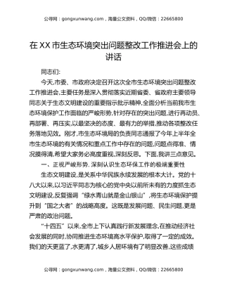 在XX市生态环境突出问题整改工作推进会上的讲话