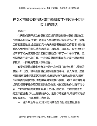 在XX市省委巡视反馈问题整改工作领导小组会议上的讲话