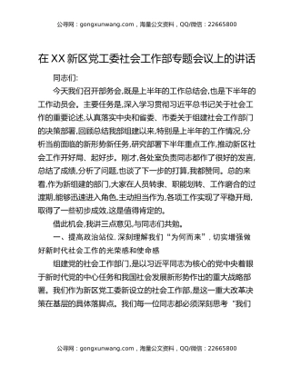 在XX新区党工委社会工作部专题会议上的讲话（2）