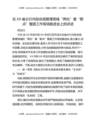 在XX省分行内控合规管理领域“两化”暨“靶点”整固工作现场推进会上的讲话