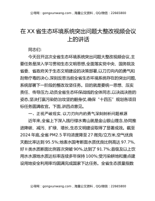 在XX省生态环境系统突出问题大整改视频会议上的讲话
