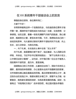 在XX系统青年干部座谈会上的发言